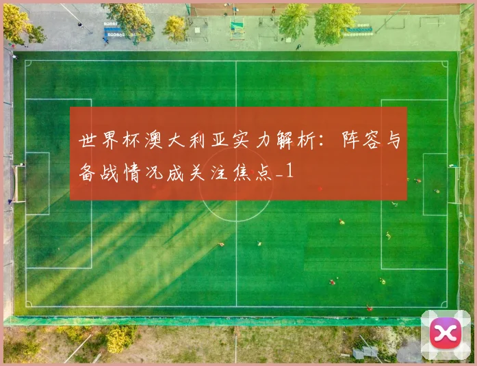 世界杯澳大利亚实力解析:阵容与备战情况成关注焦点_1