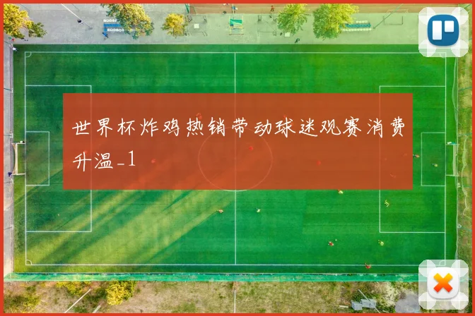 世界杯炸鸡热销带动球迷观赛消费升温_1