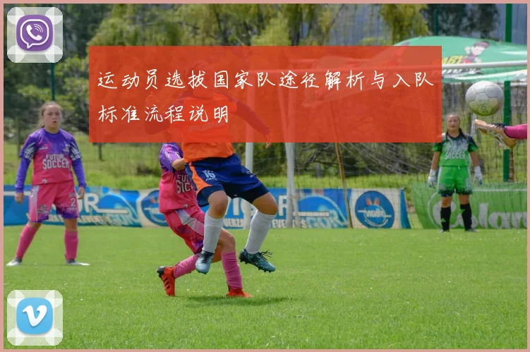 运动员选拔国家队途径解析与入队标准流程说明